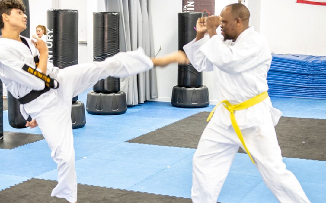 Adult Martial Arts